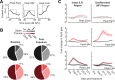 Figure 5—figure supplement 1.