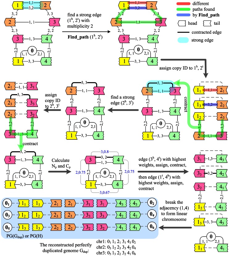 Figure 4