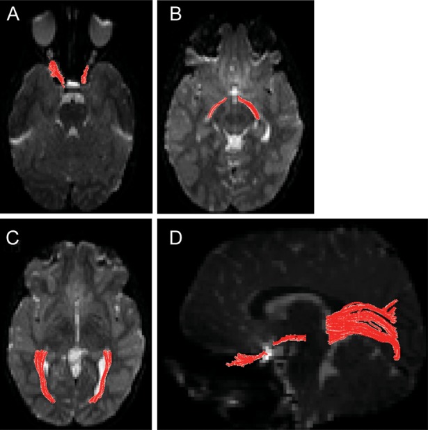 Fig. 1.