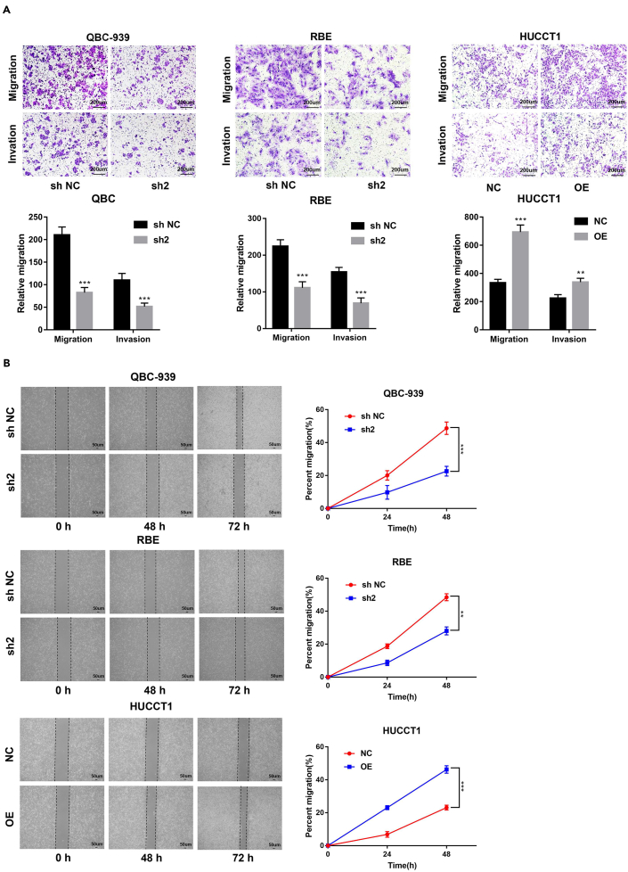 Figure 4