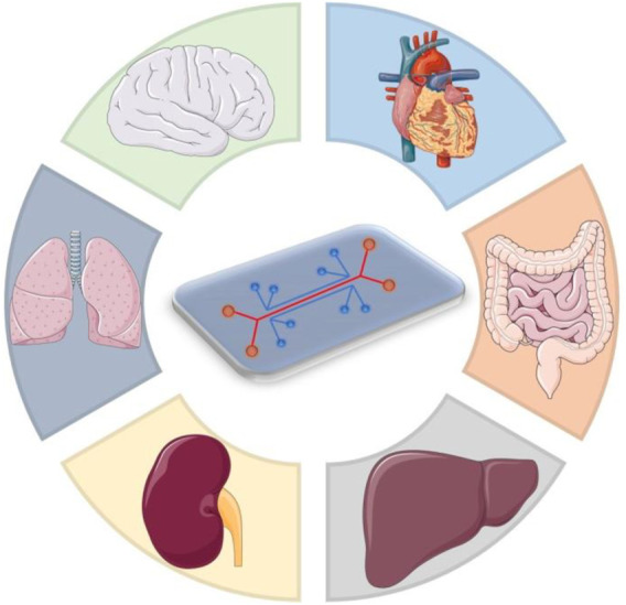 FIGURE 1