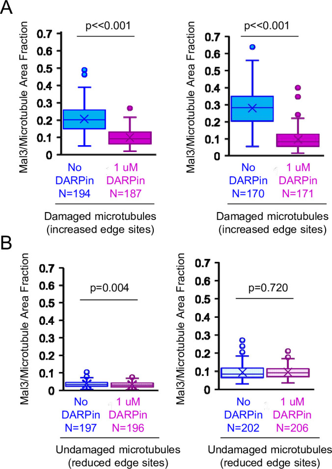 Figure 4—figure supplement 1.