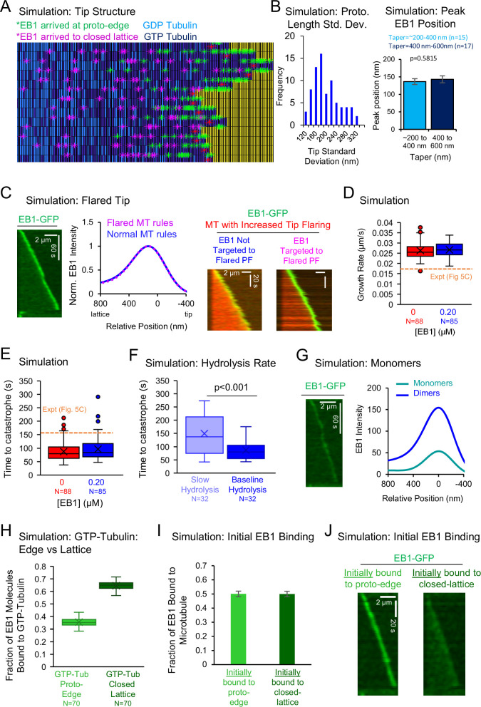 Figure 1—figure supplement 1.