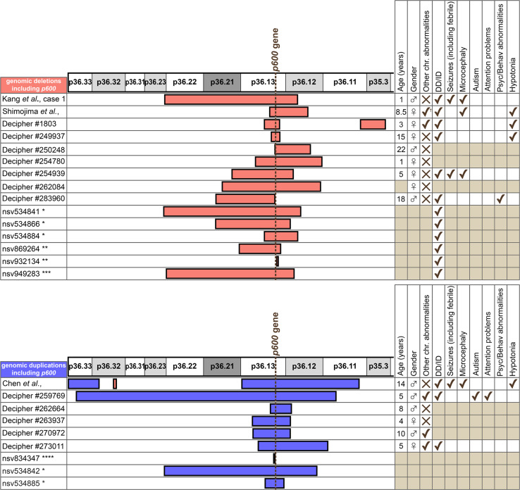 Fig. 4