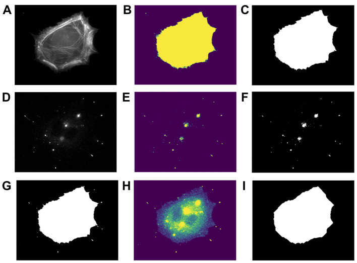 Figure 7.