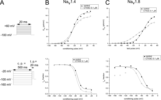 FIGURE 5.