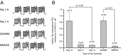 FIGURE 4.