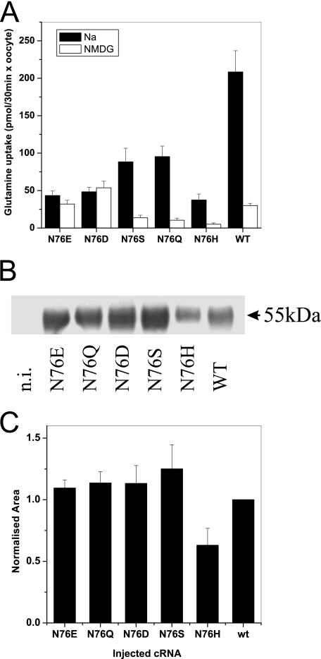 FIGURE 5.