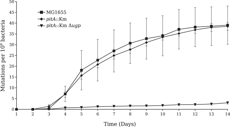 FIG 3