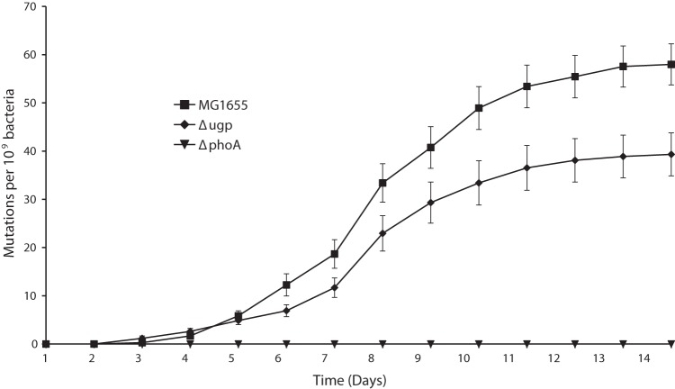 FIG 2