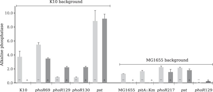 FIG 4