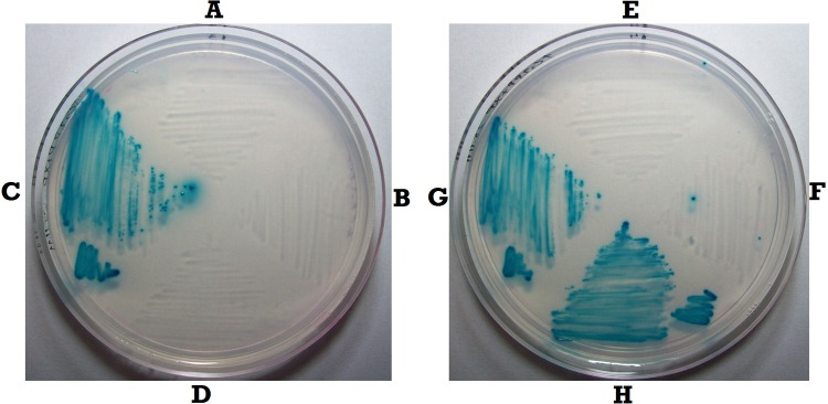 FIG 1