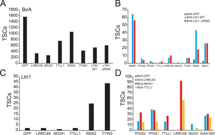 FIGURE 4: