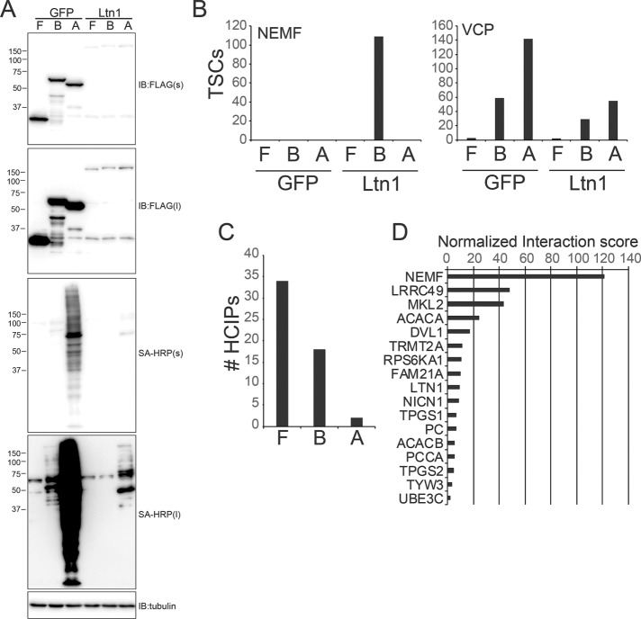 FIGURE 2: