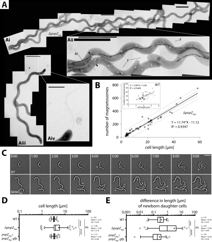 FIG 2