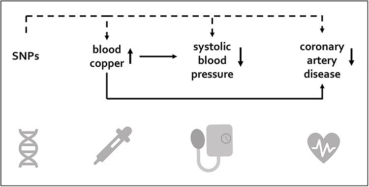 Graphical Abstract