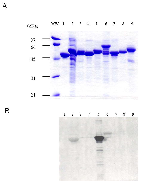 Fig.2