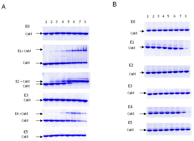 Fig.3