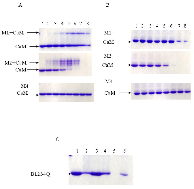 Fig.4