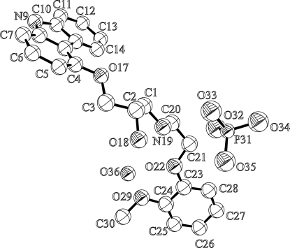 Fig. 1.