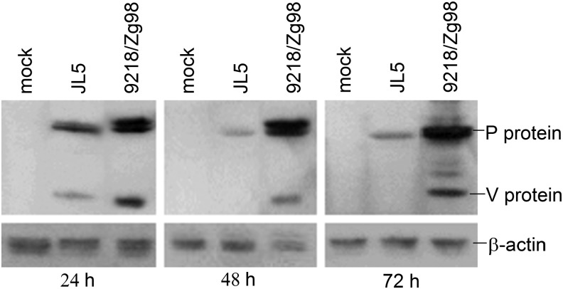 FIG. 7.