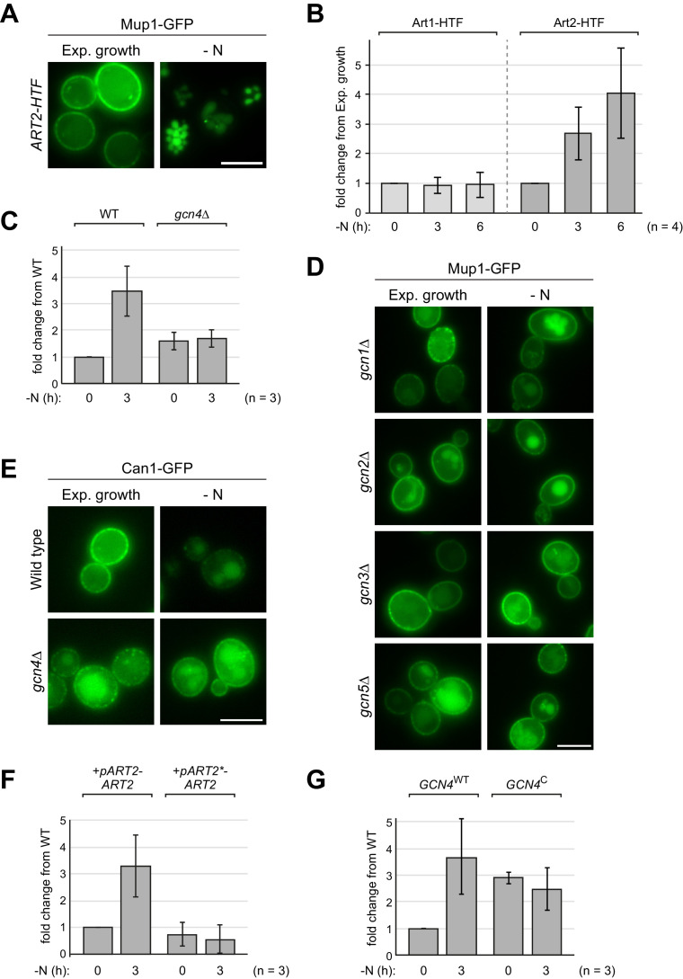 Figure 4—figure supplement 1.