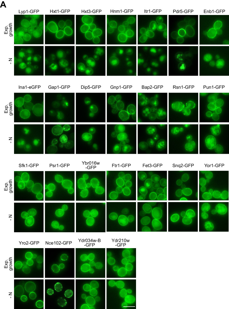 Figure 1—figure supplement 1.