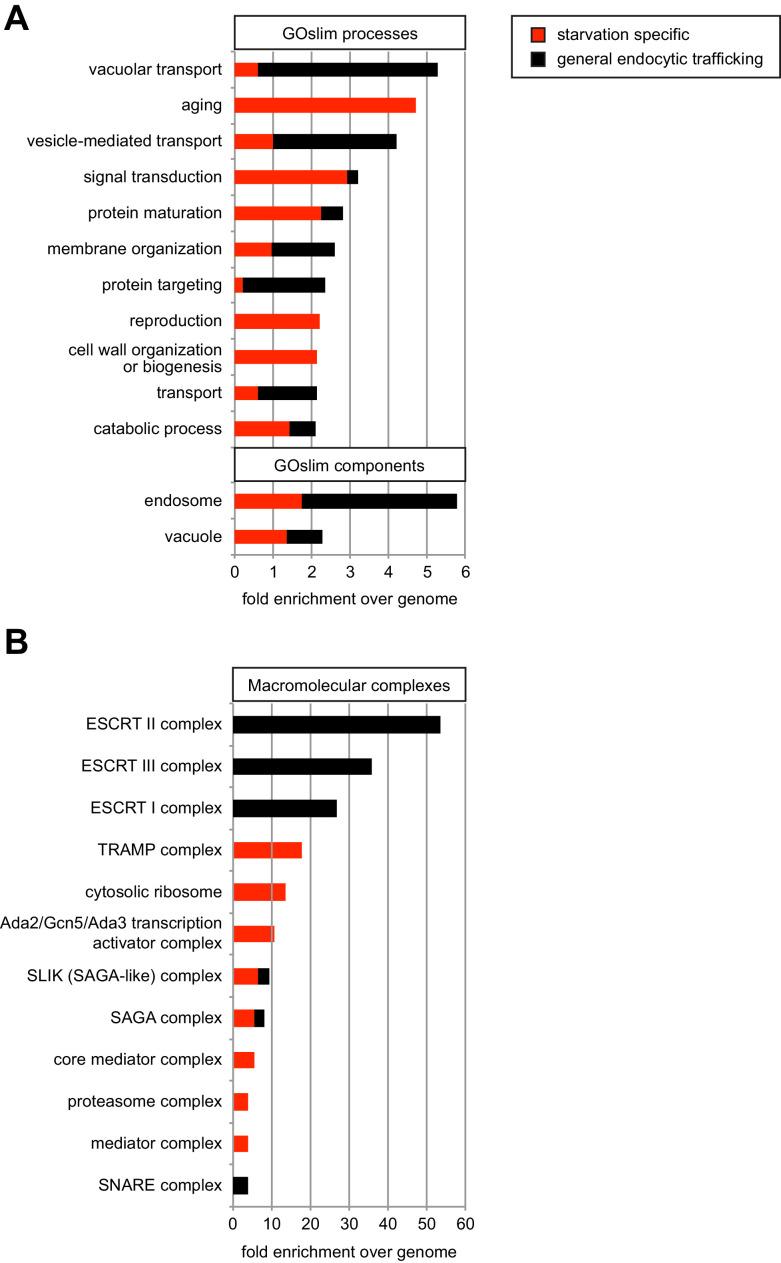 Figure 2—figure supplement 1.