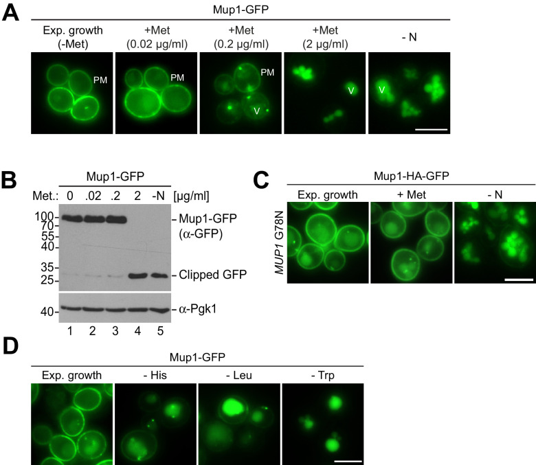 Figure 1—figure supplement 2.