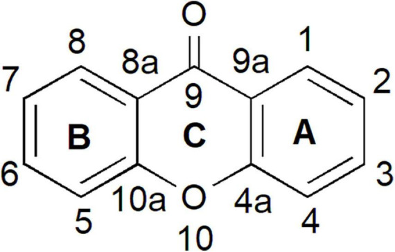 FIGURE 1