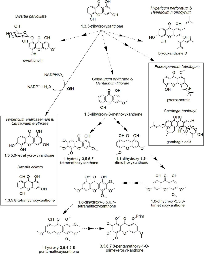 FIGURE 4