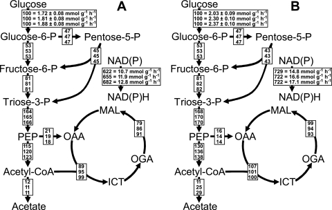 FIG. 5.