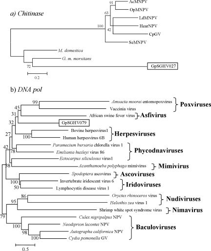 FIG. 7.