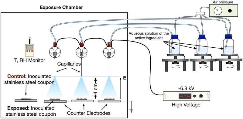 Figure 2: