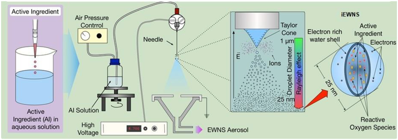 Figure 1: