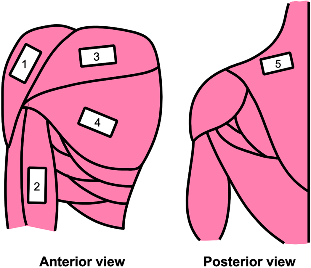 Figure 2: