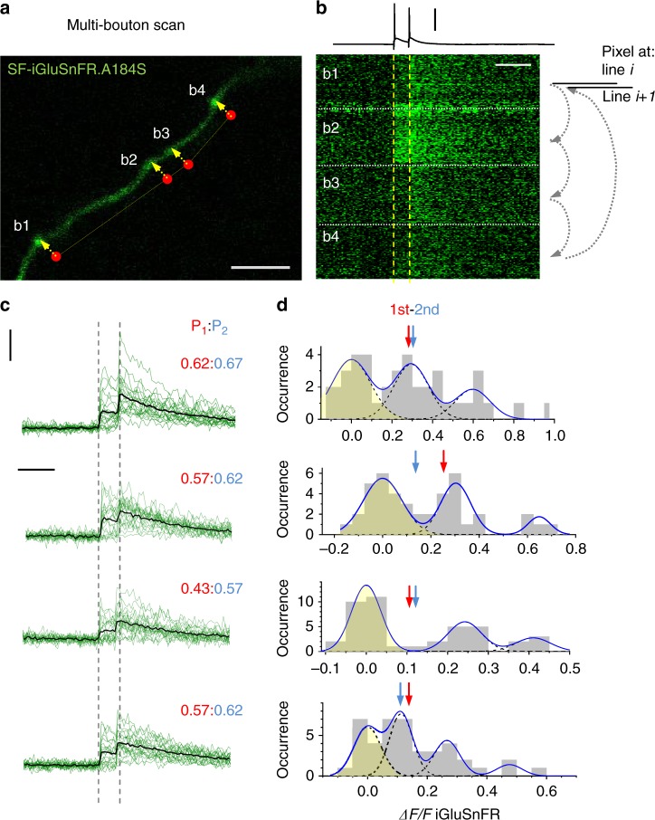 Fig. 2