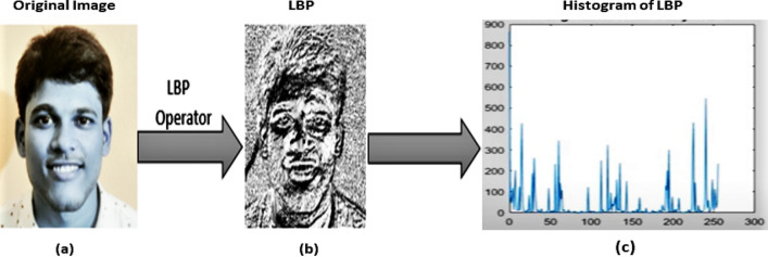 Figure 13