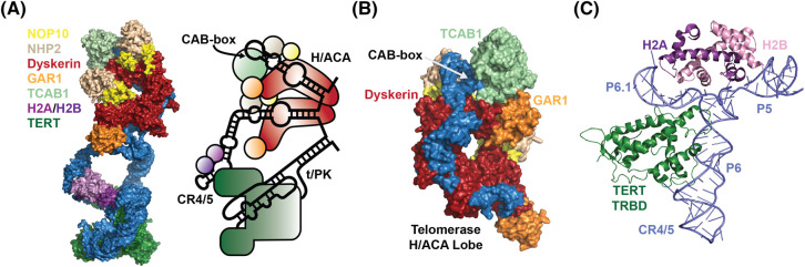 Figure 1.