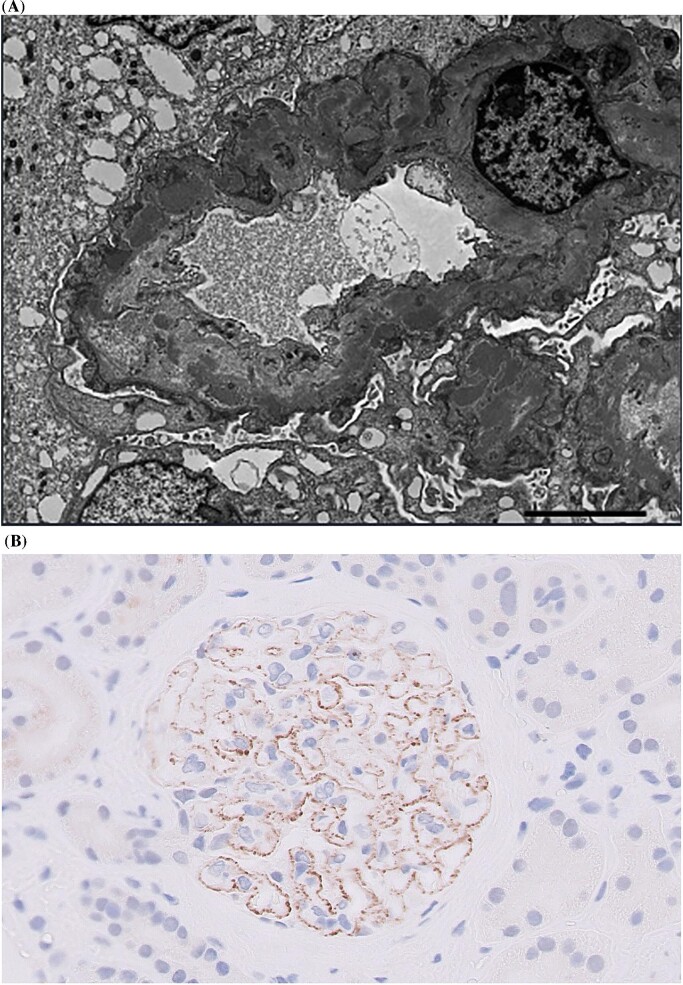 Figure 1: