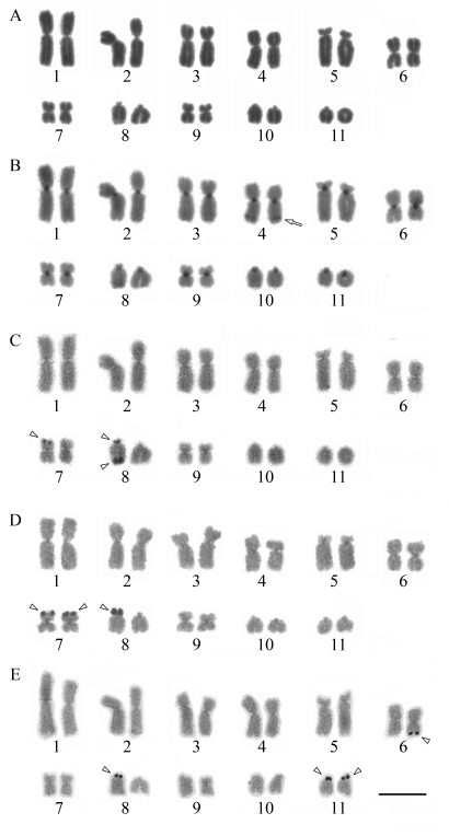 Figure 3