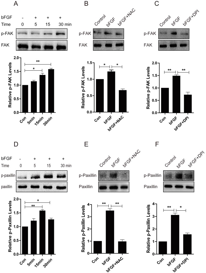 Fig 8