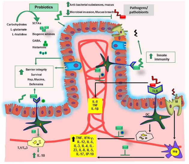 FIGURE 2