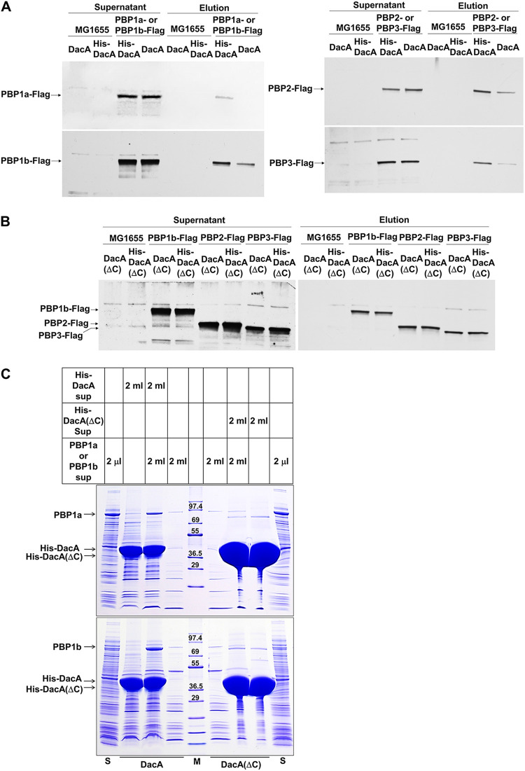 FIG 6