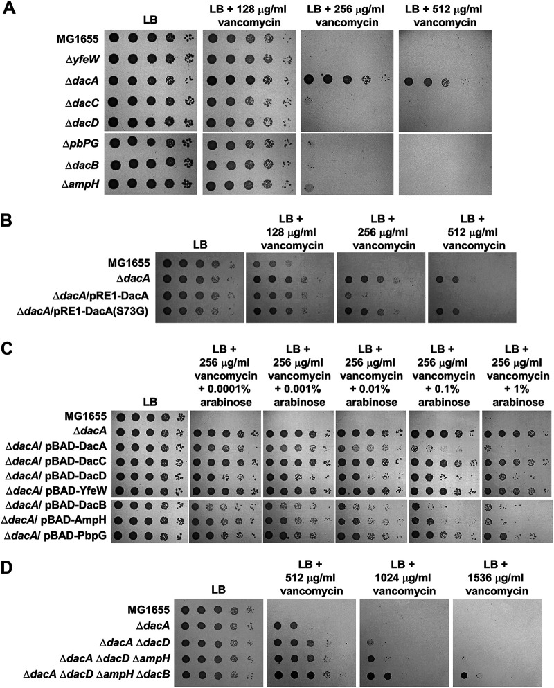 FIG 1