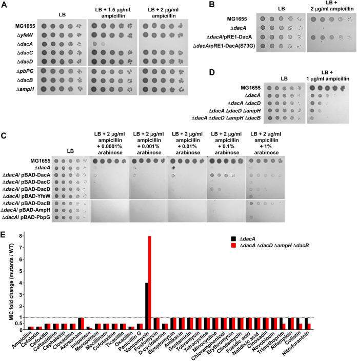 FIG 2