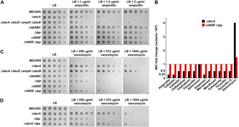 FIG 3