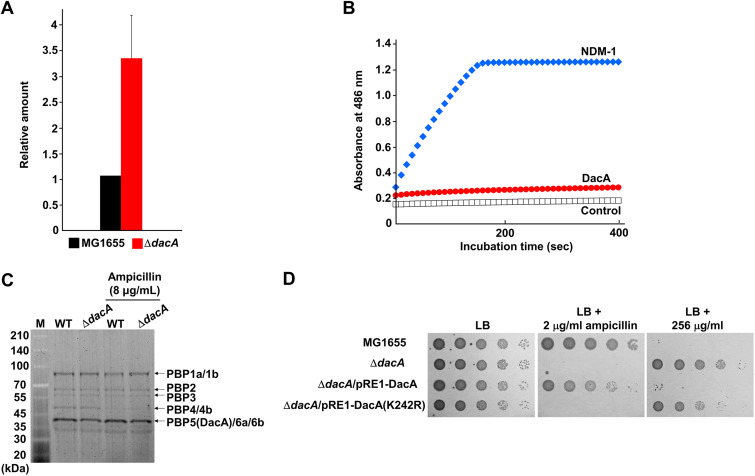 FIG 4