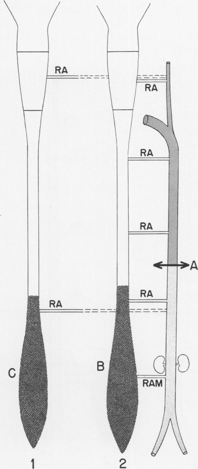 Fig. 7. b