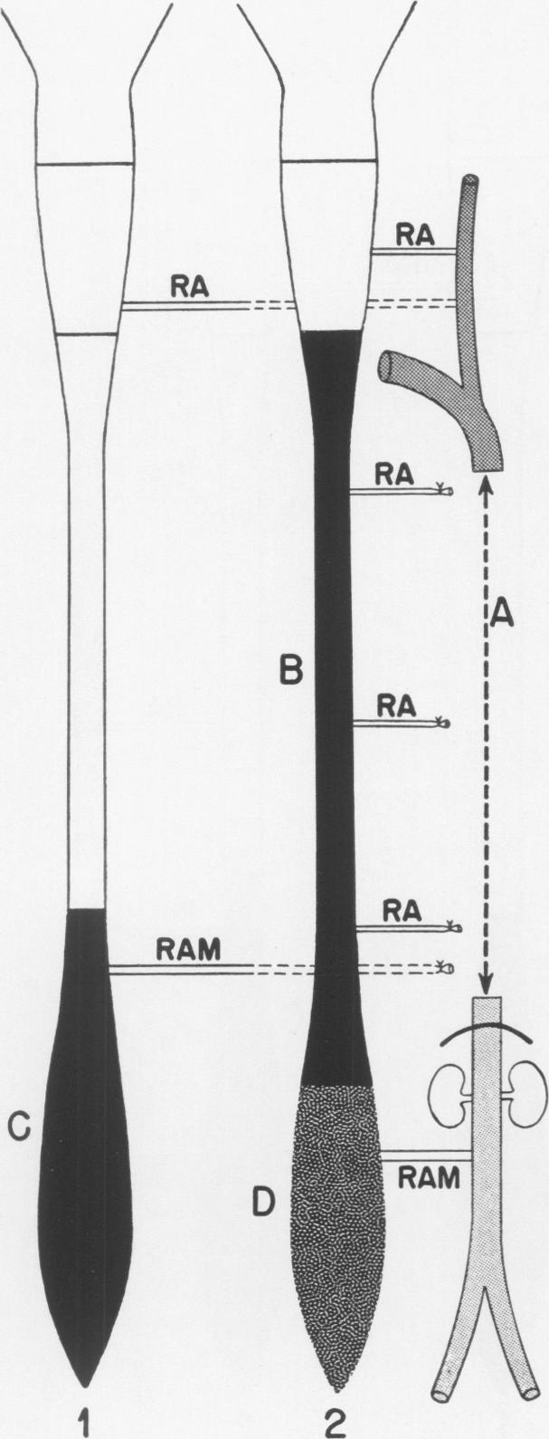 Fig. 9. c